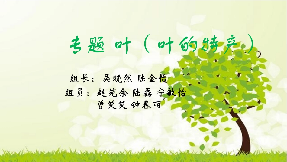 第二小组展示_第1页