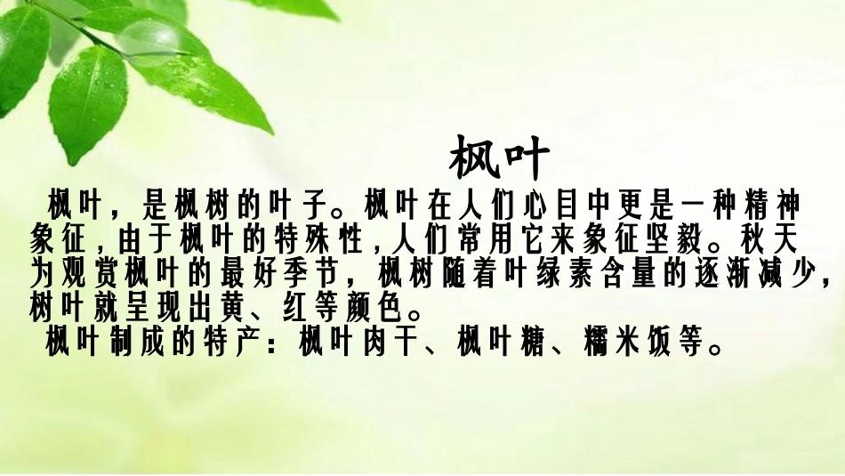 第二小组展示_第2页