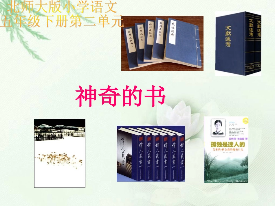 第一课《神奇的书》课件1_第1页