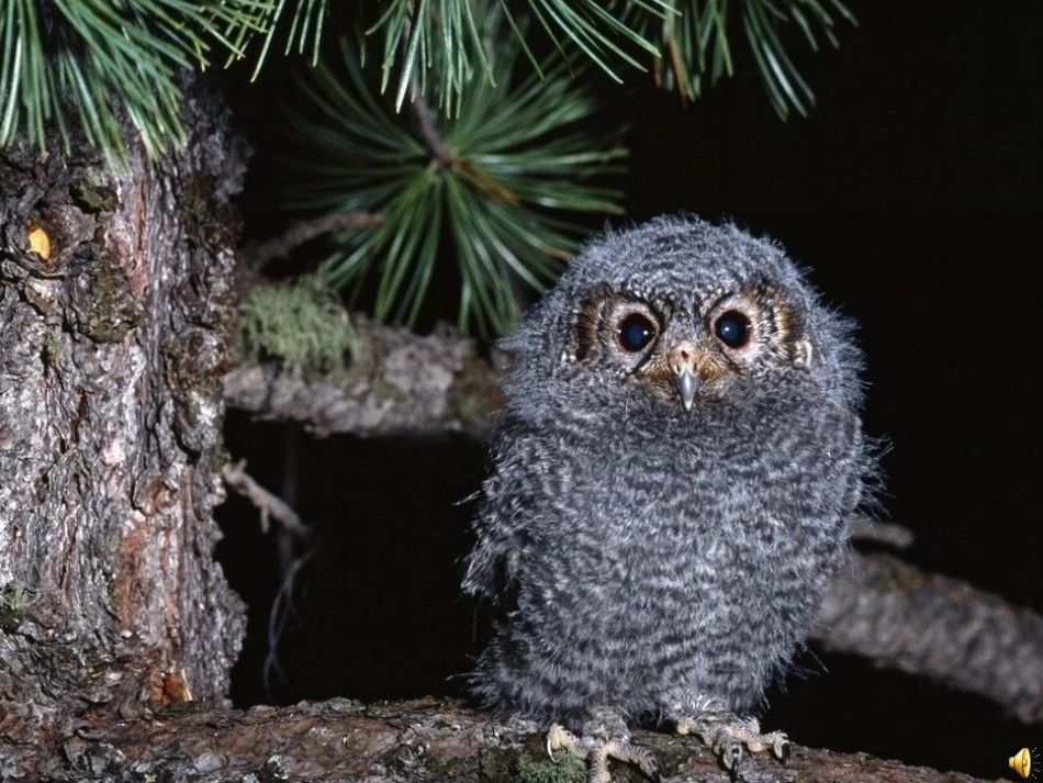 树上树下修改_第3页