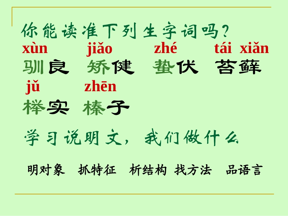 苏教版七年级语文下册《松鼠》_第1页