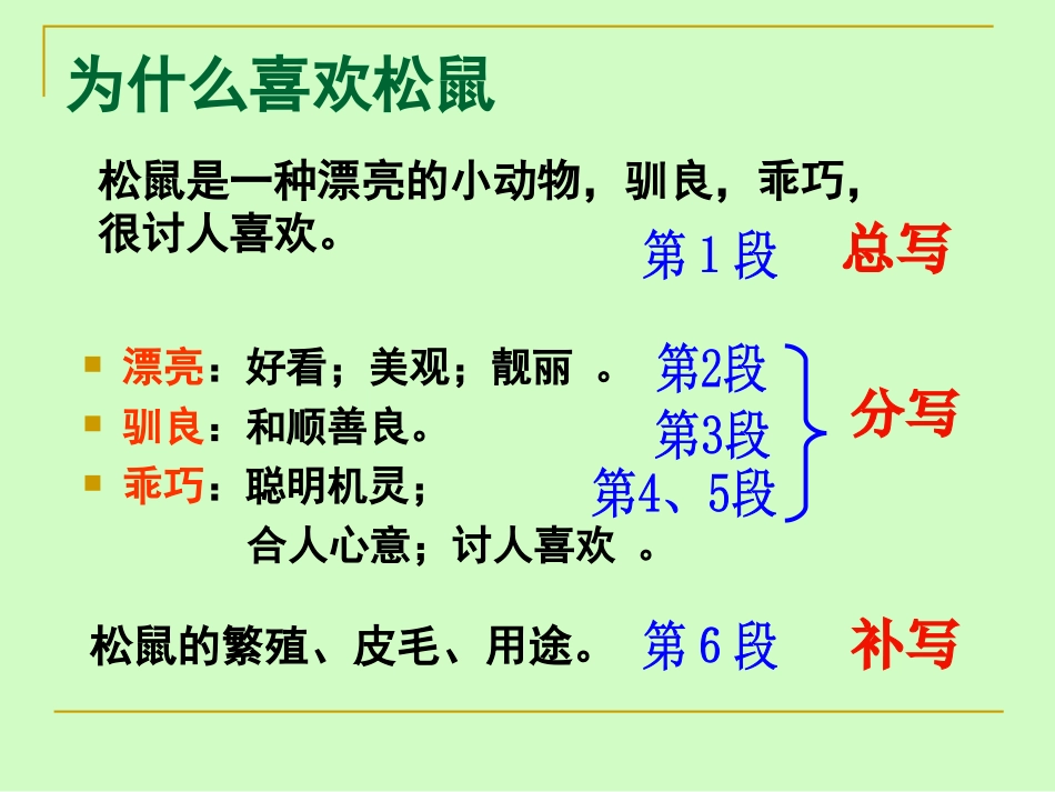 苏教版七年级语文下册《松鼠》_第3页