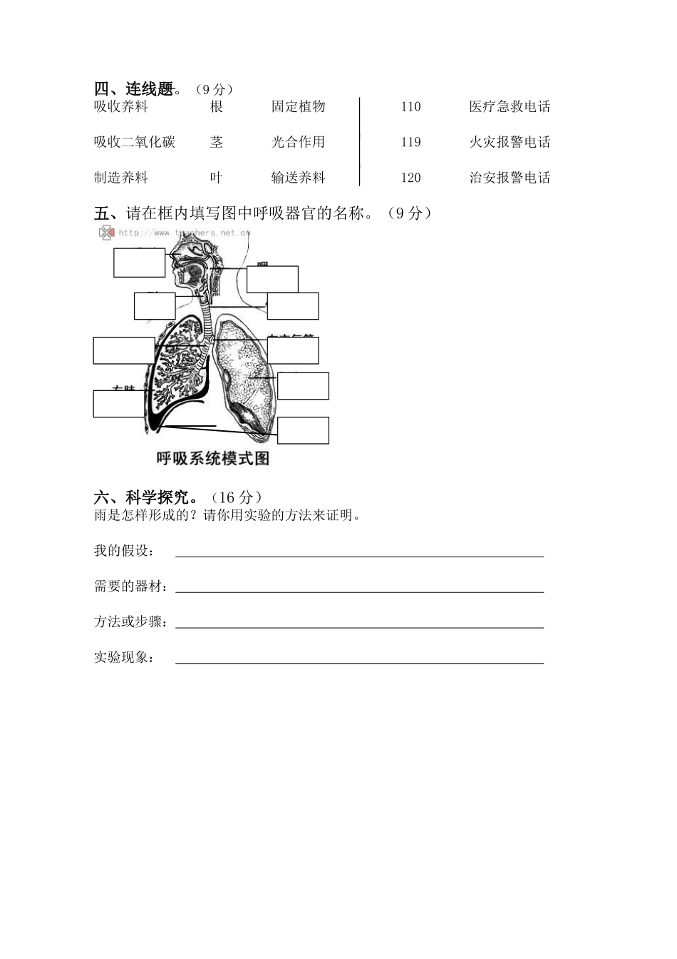 科学试卷(五年一期)_第2页