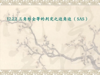 12.2.2《三角形全等的判定》(SAS).2.2三角形全等的判定之边角边(SAS)定理