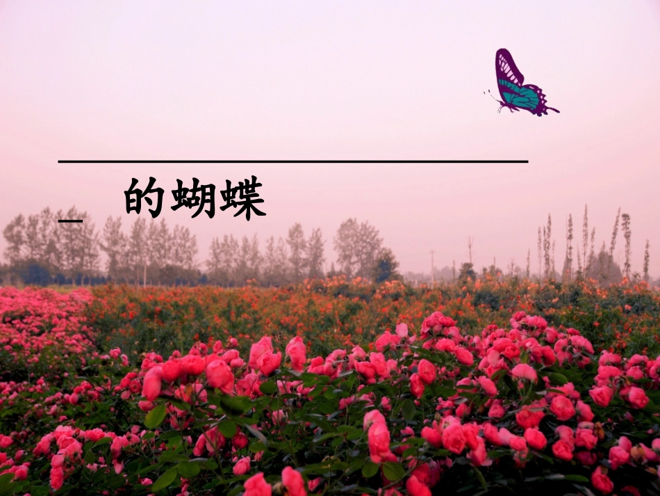 蝴蝶谷(定)_第3页