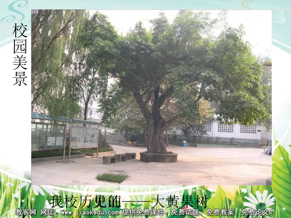 第2课-设计我们的校园-(2)_第3页