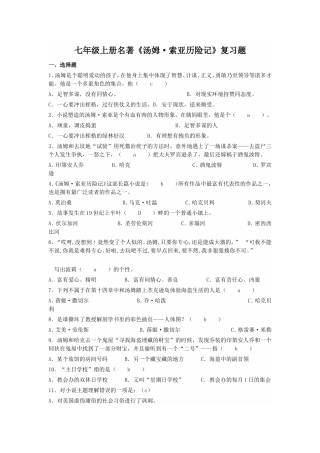 汤姆索亚历险记