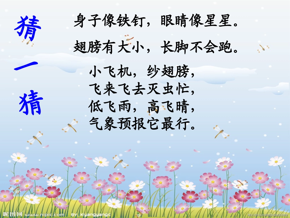 放飞蜻蜓课件_第3页