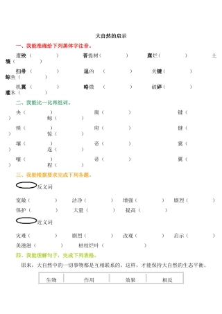 《大自然的启示》同步练习