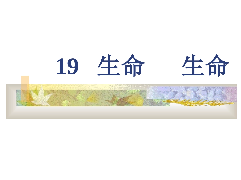 19.生命-生命_第1页
