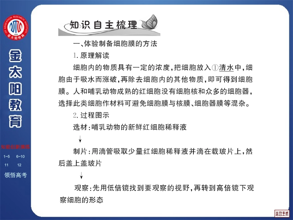 3.1-细胞膜-系统的边界-课件-刘英兰_第3页