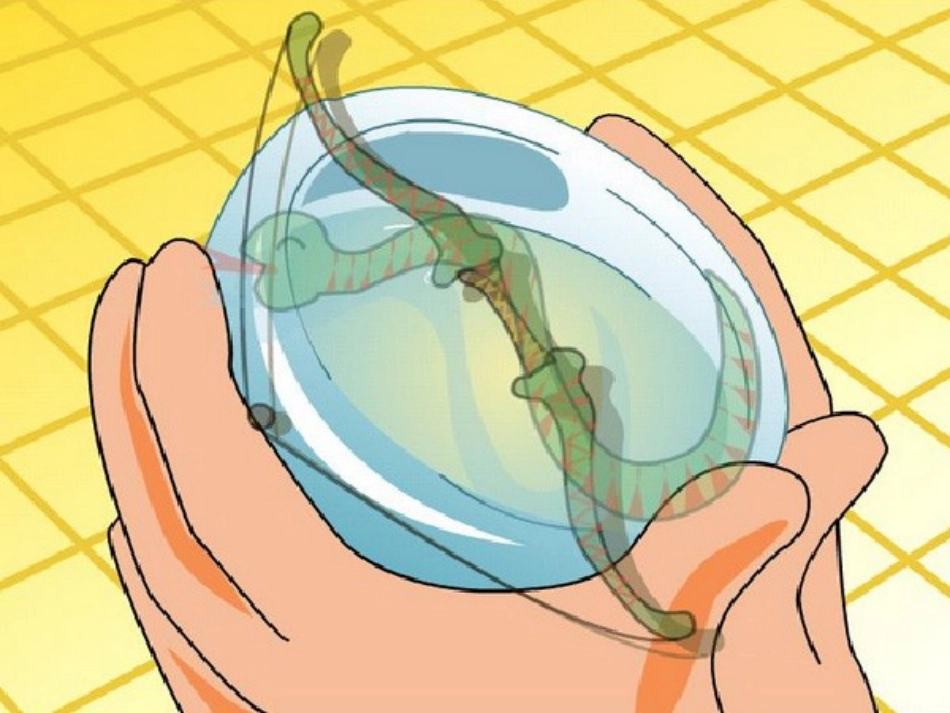 3新奇的纳米技术(2018年1月安徽第1次印刷)_第3页