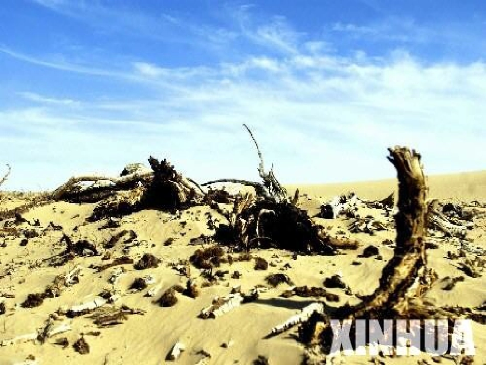 1.走-我们去植树课件(第一课时)_第3页