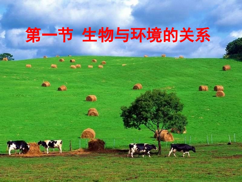 7121生物与环境的关系_第3页