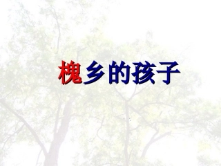 槐乡的孩子课件