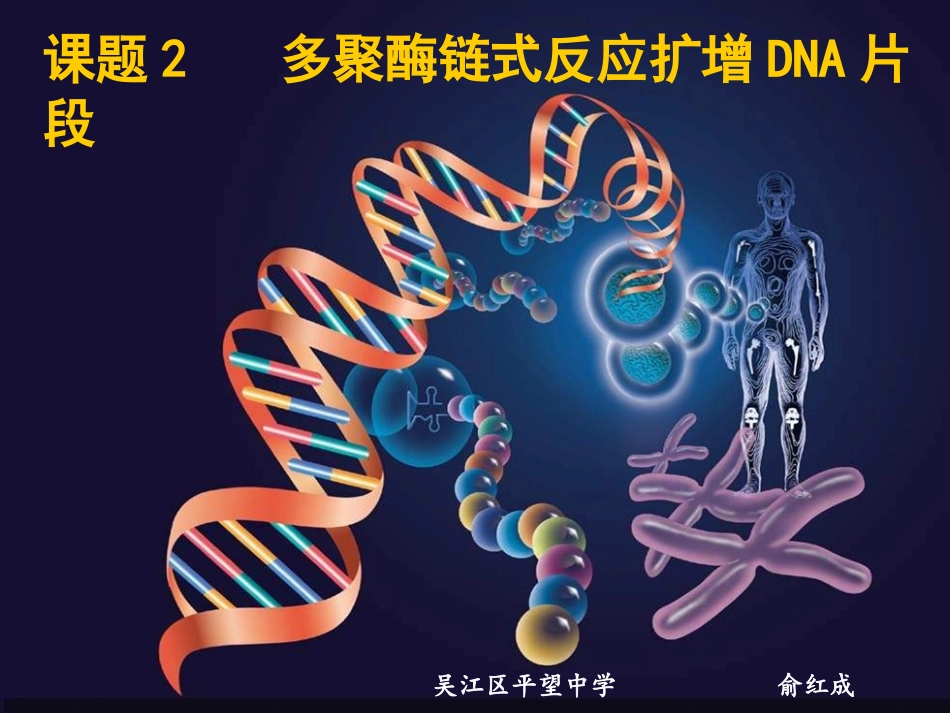 课题2-多聚酶链式反应扩增DNA片段_第1页