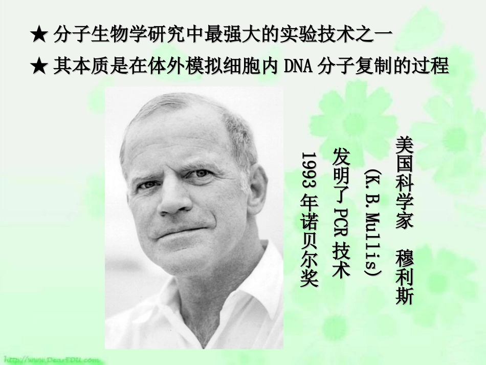 课题2-多聚酶链式反应扩增DNA片段_第3页