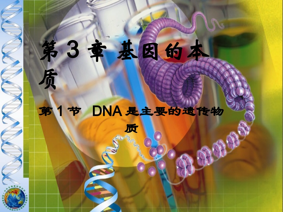 DNA是主要的遗传物质课件--ppt2_第1页