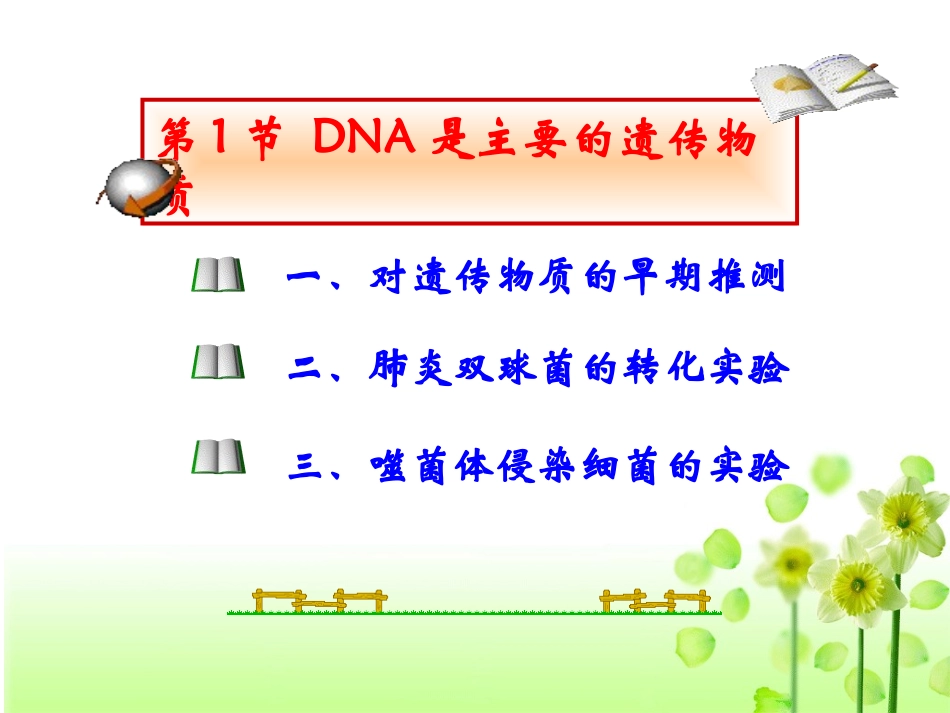 DNA是主要的遗传物质课件--ppt2_第2页