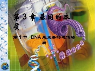 DNA是主要的遗传物质课件--ppt2