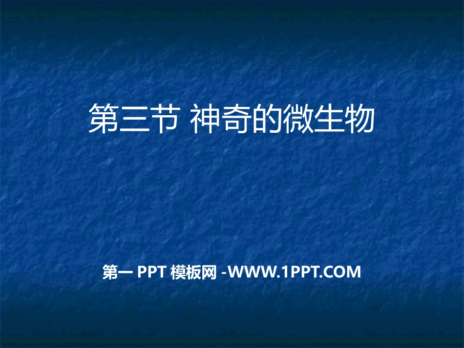 第三节神奇的微生物-(2)_第1页