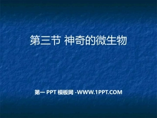 第三节神奇的微生物-(2)