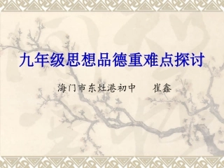 九年级思想品德重