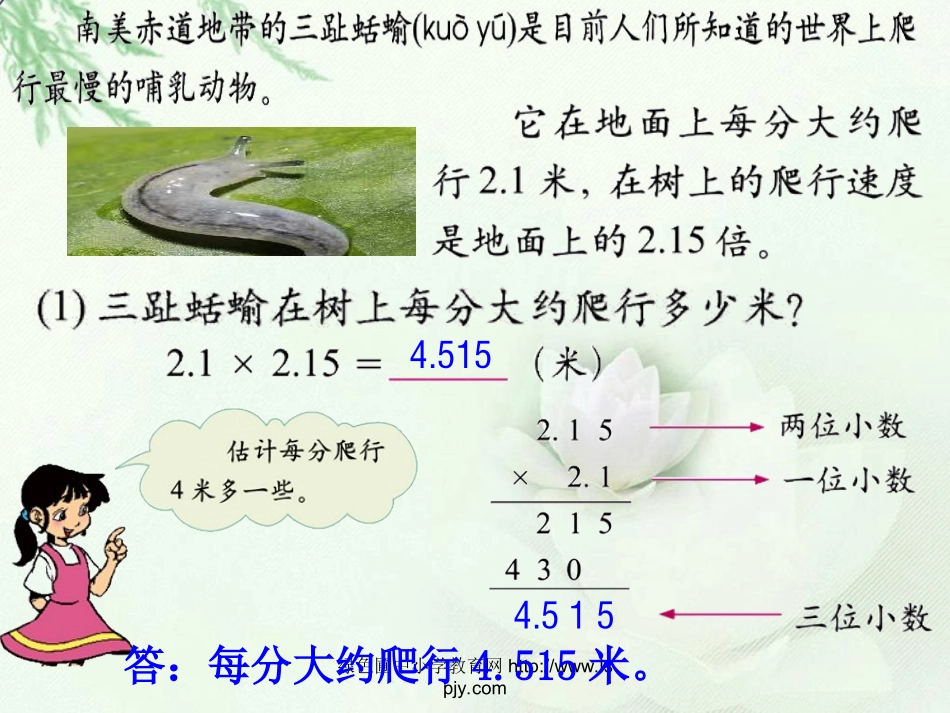 爬行最慢的哺乳动物_第2页