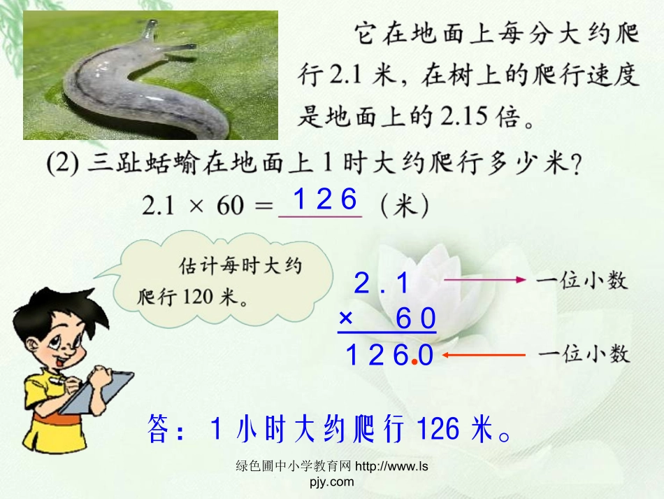 爬行最慢的哺乳动物_第3页