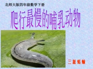 爬行最慢的哺乳动物