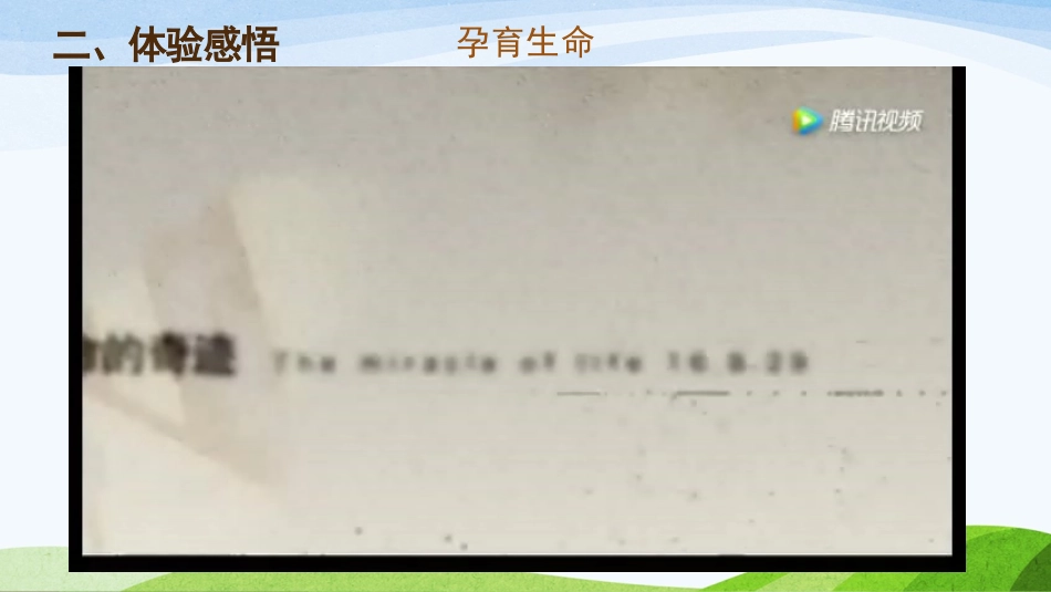 敬畏生命-(2)_第3页