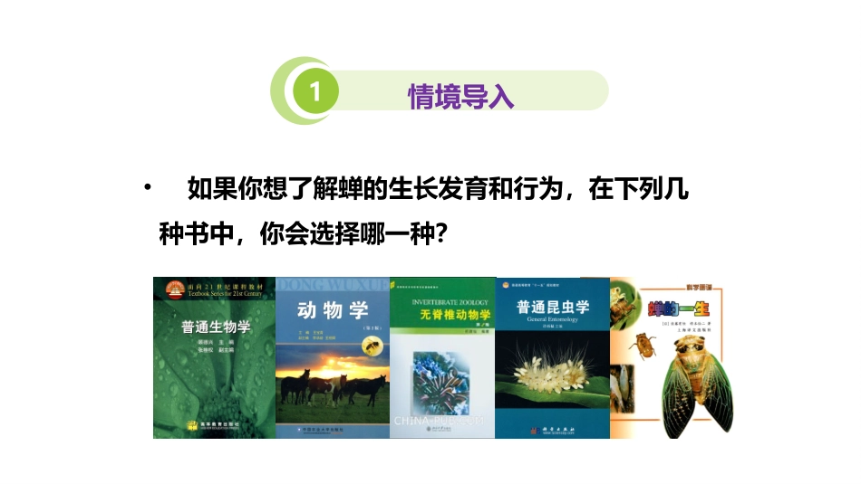 第2节生物的进化_第2页