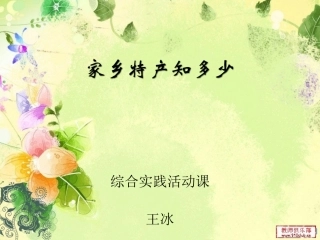 13.家乡特产的调查与推介