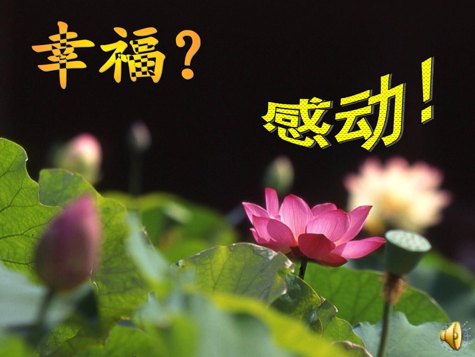 (部编)初中语文人教2011课标版七年级上册荷叶-母亲-(18)_第1页