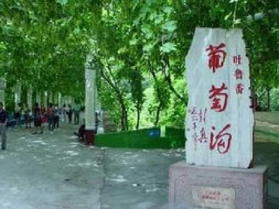 116葡萄沟_第3页