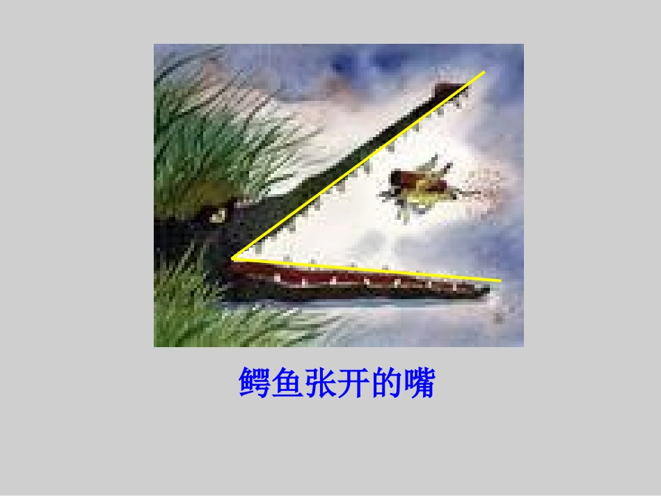 PPT.3.1角新_第3页