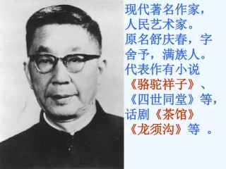 (部编)初中语文人教2011课标版七年级下册名著导读：圈点批注