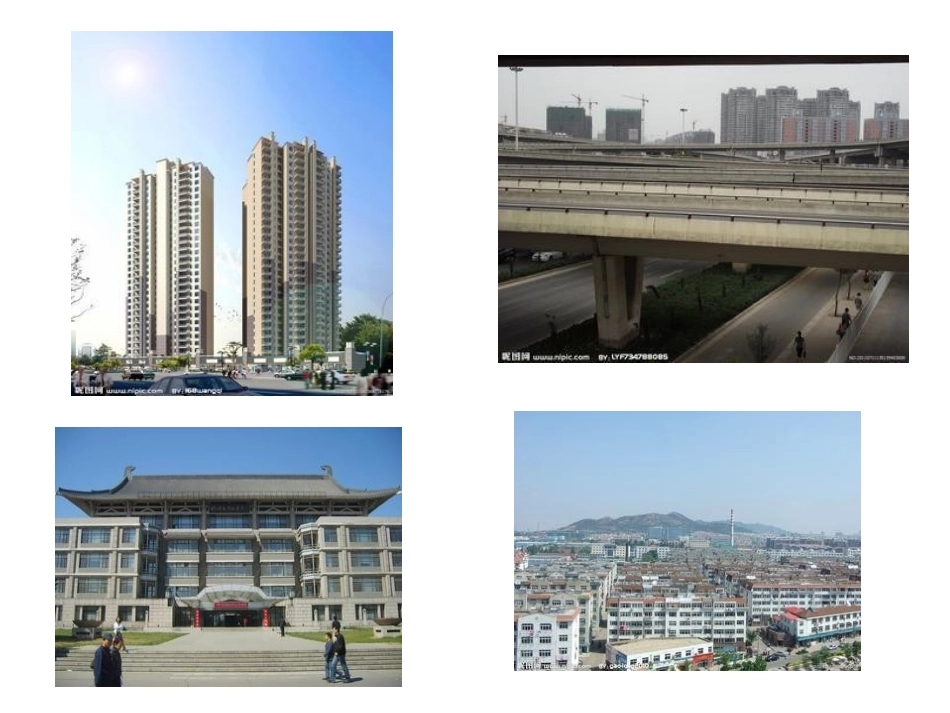 1-1骨骼.PPT_第3页