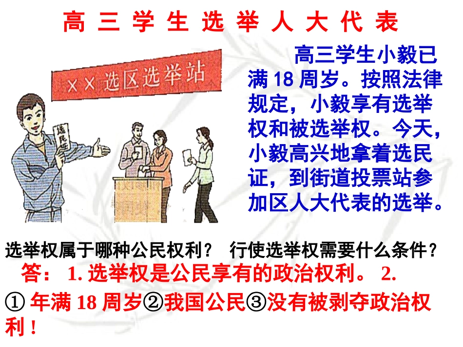 6.3依法参与政治生活_第2页