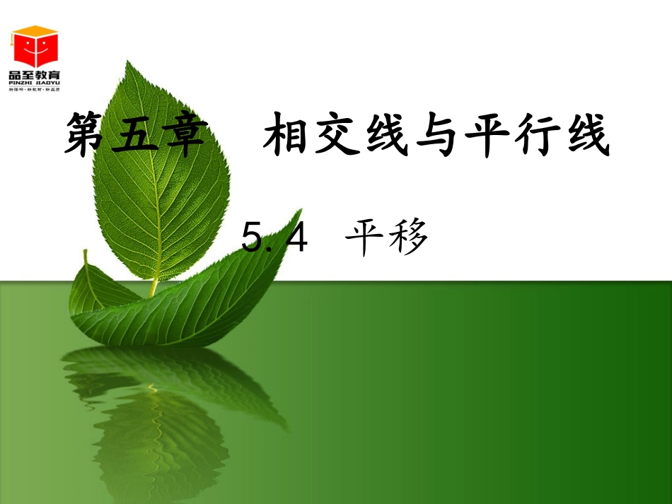 平移的概念及性质_第1页