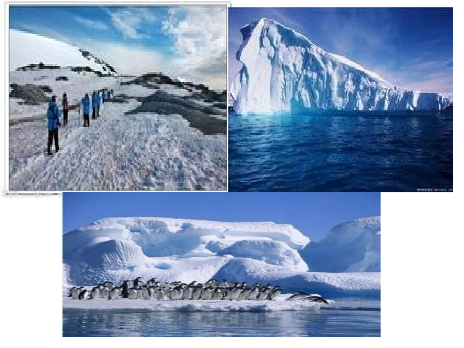 2014秋长春版语文一上《把我寄给爸爸》ppt课件2_第2页