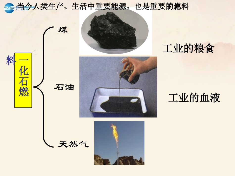 5.4古生物的“遗产”——化石燃料_第2页