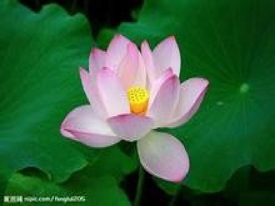 2-1汉字家园_第3页