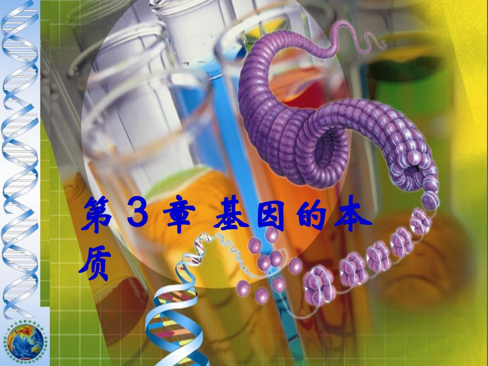 DNA是主要的遗传物质_第1页