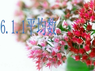 6.1平均数、中位数、众数-(2)