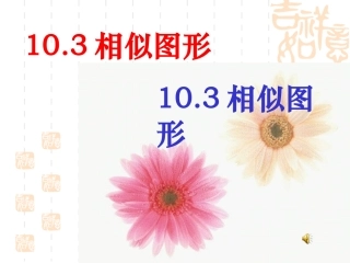 10.3图形的相似