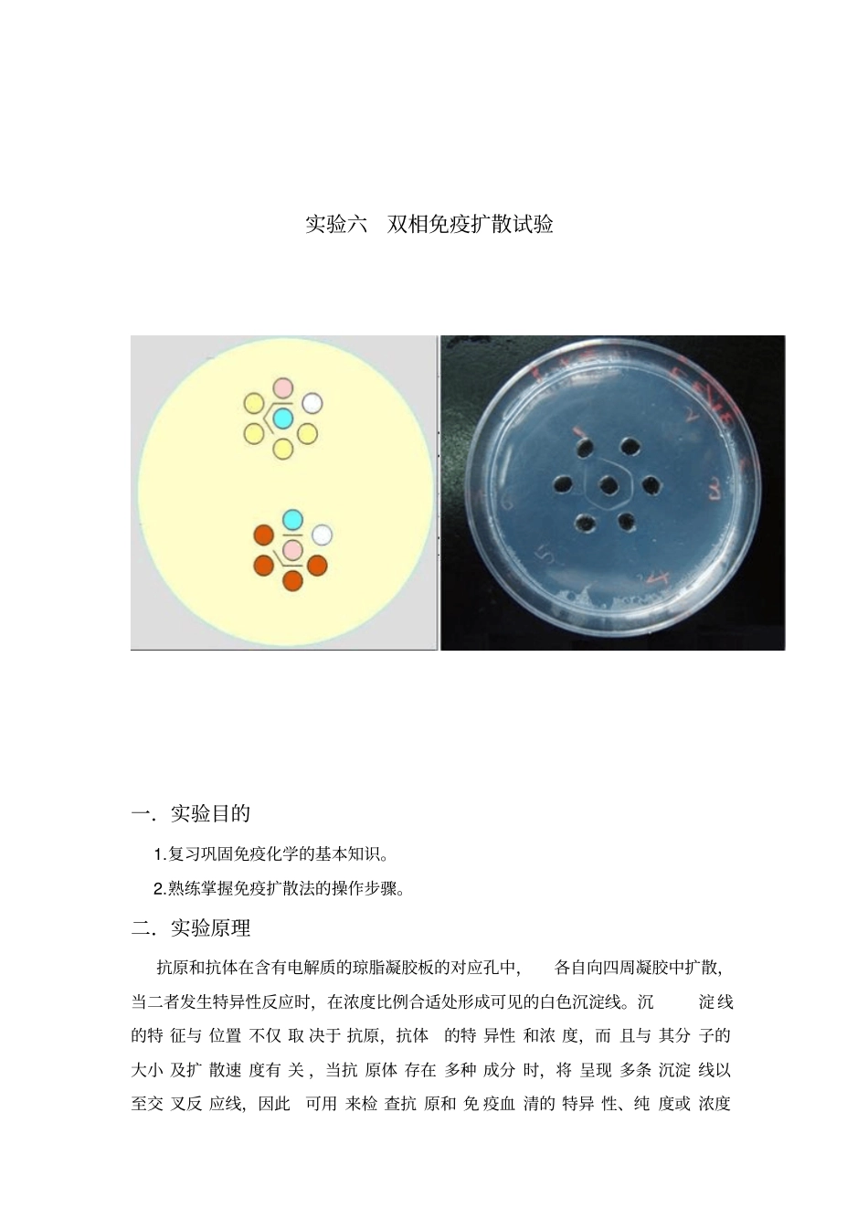 双相免疫扩散试验_第1页