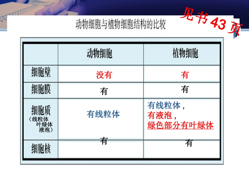 3-2细胞是生命活动的单位_第3页