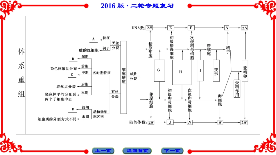 第1部分-专题3-第1讲_第3页