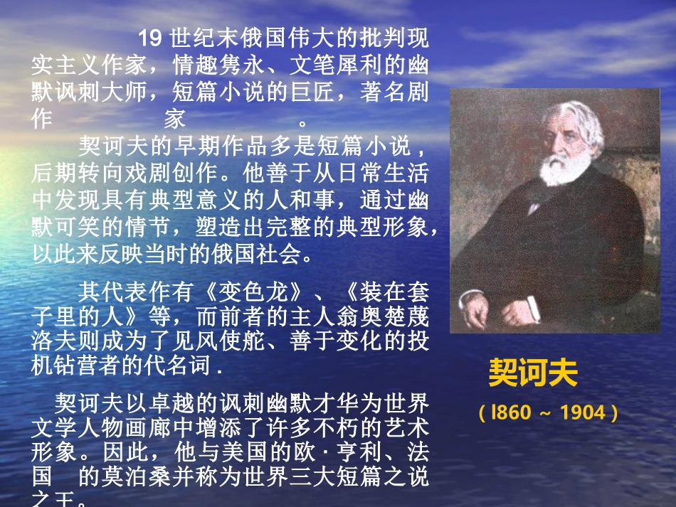 装在套子里的人_第2页